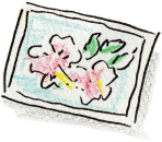 写真のイラスト