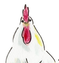 stuff-niwatori にわとりさんのイラスト