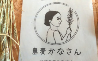 広告　島麦かなさん